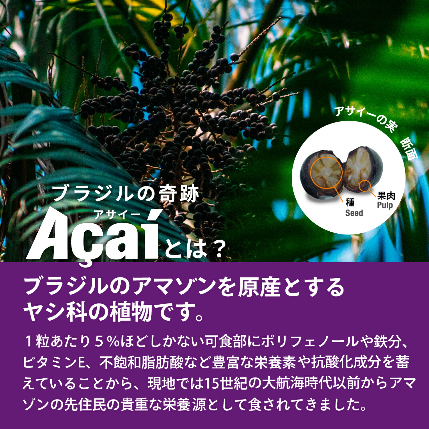 アサイーピューレ（プレーン） 11