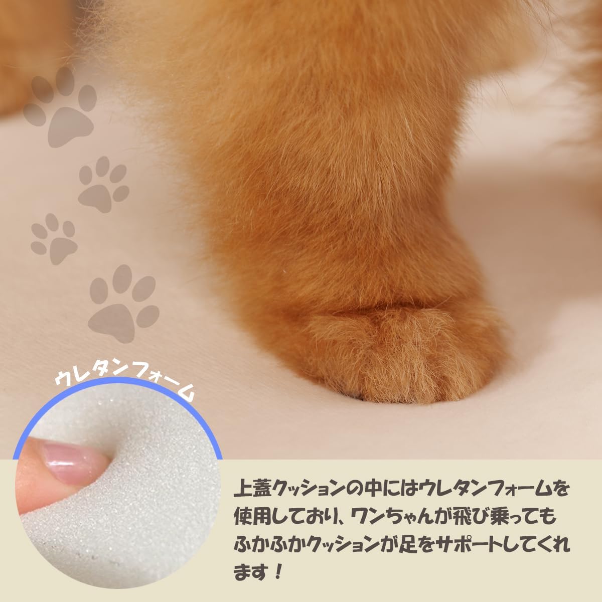 ペットステップ 3