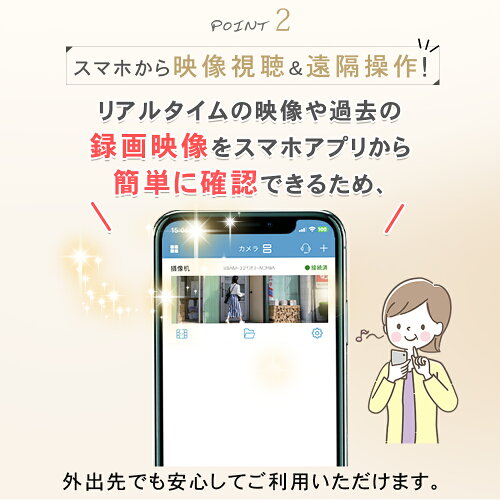 PoEの防犯カメラ 5