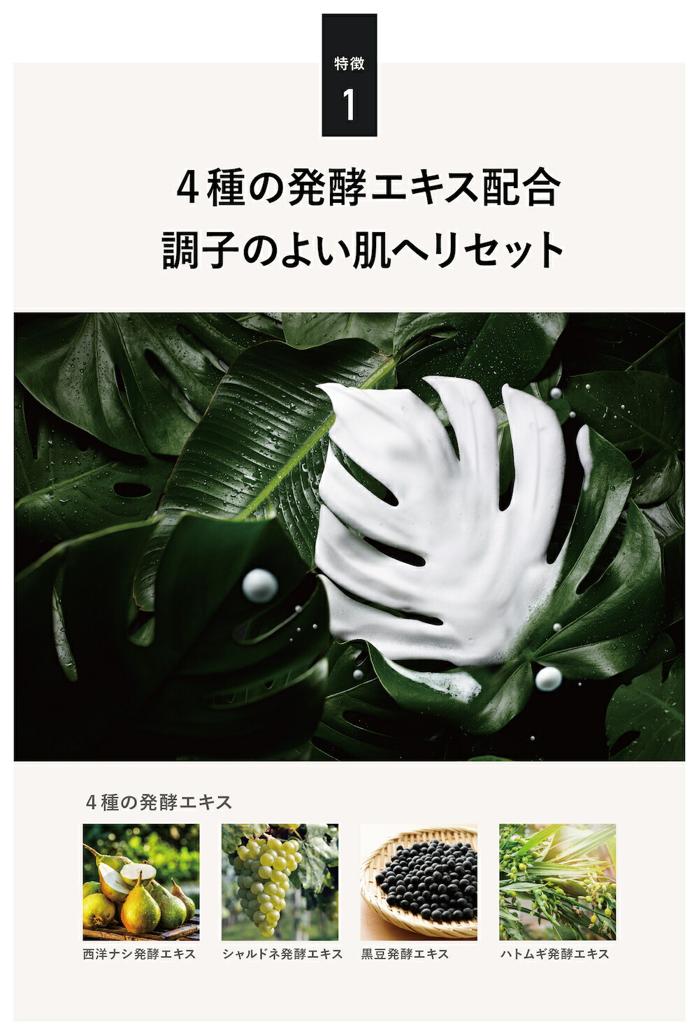 ボタニカル ローション＆フェイスウォッシュセット 7
