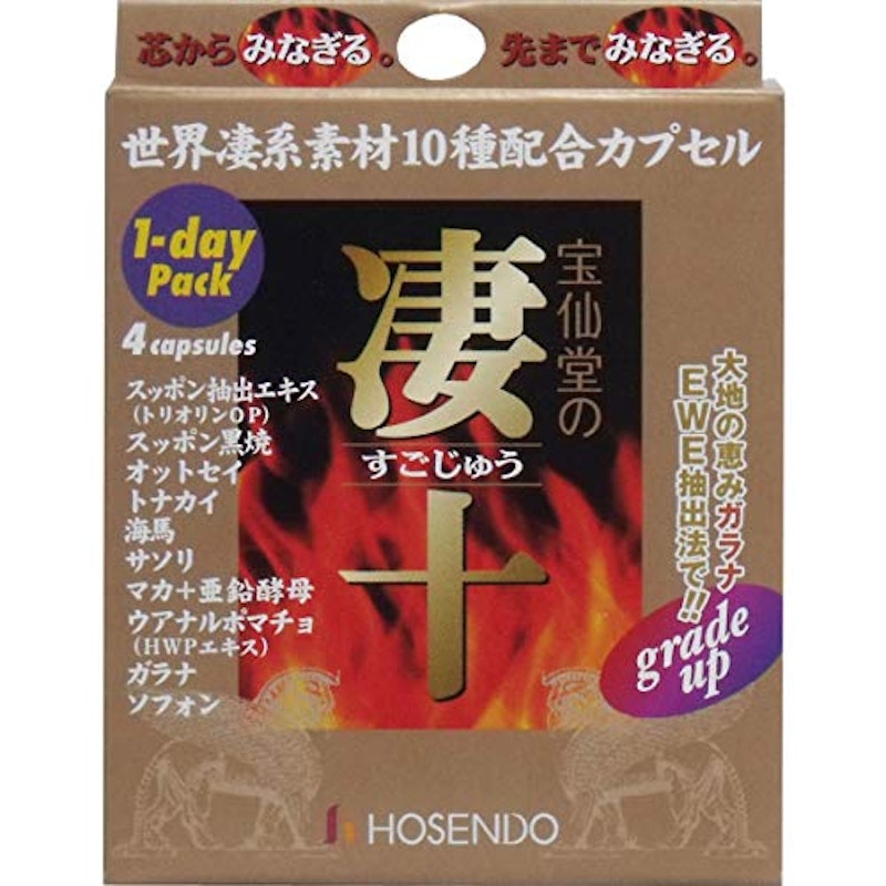 凄十 1dayパック 1