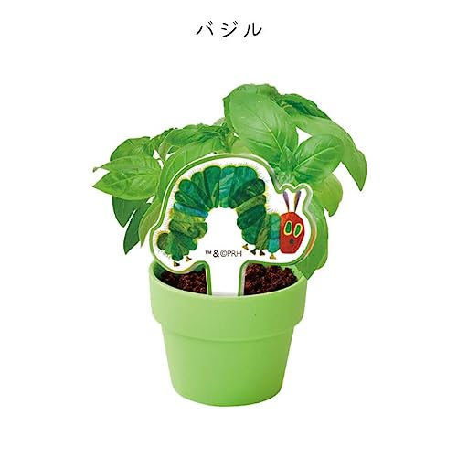 育てるカプセルハーブ 4