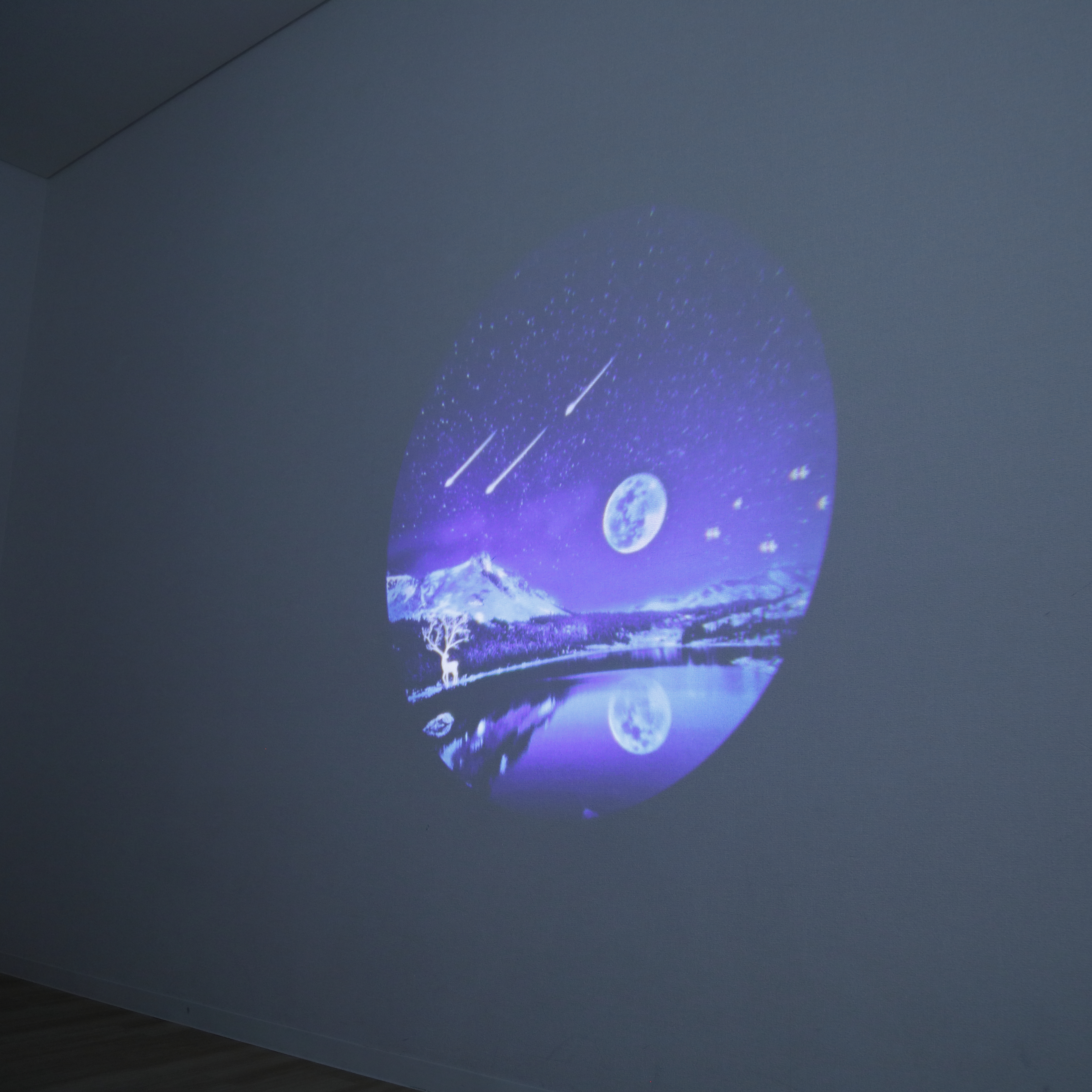 家庭用プラネタリウム 8