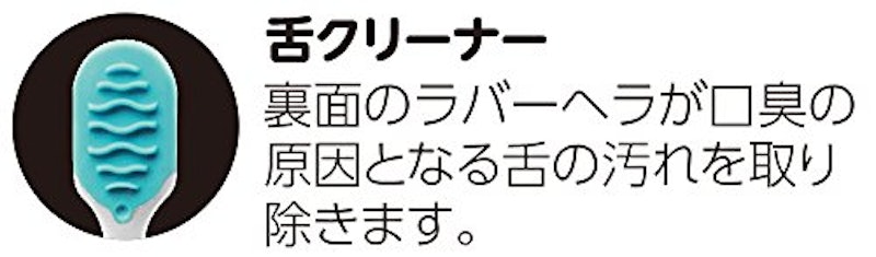 歯の美白 5