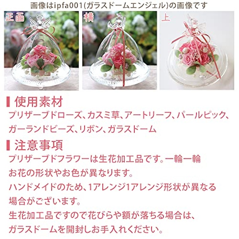 ガラスドーム エンジェル プレミアム 4