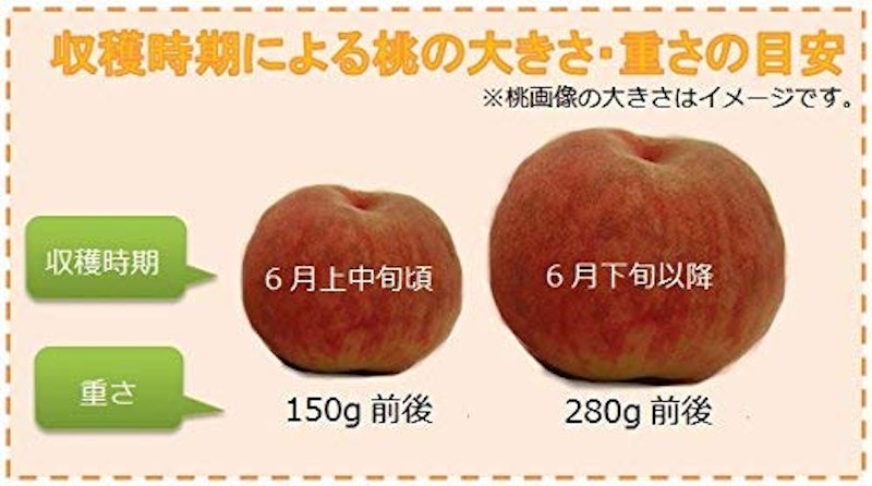 山梨県産 白鳳 白桃 2
