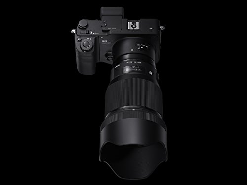 85mm F1.4 DG HSM Art 5