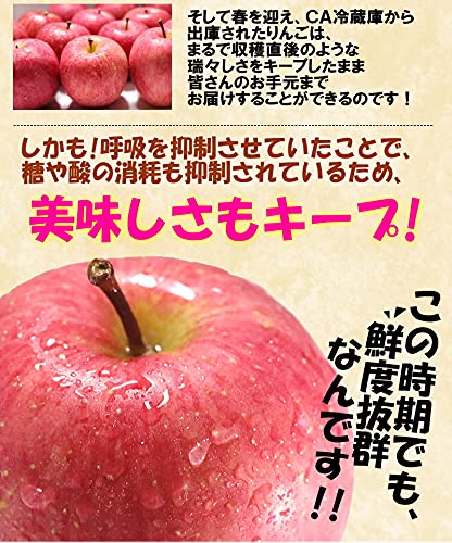 りんご ふじ 訳あり 4