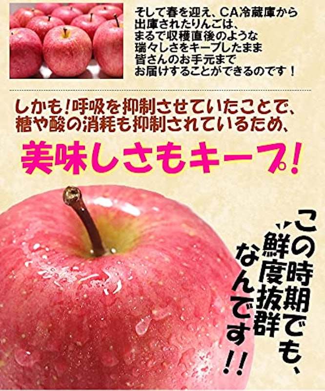 りんご ふじ 訳あり 4