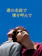 ファントム・フィルム 君の名前で僕を呼んで 1