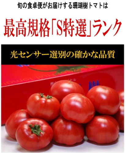  珊瑚樹トマト S特選 4