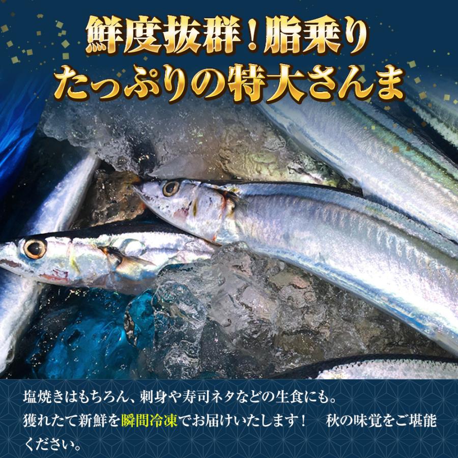  特大生冷凍さんま 4