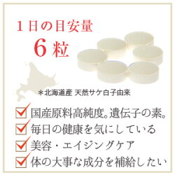 濃いっ！核酸DNA 2