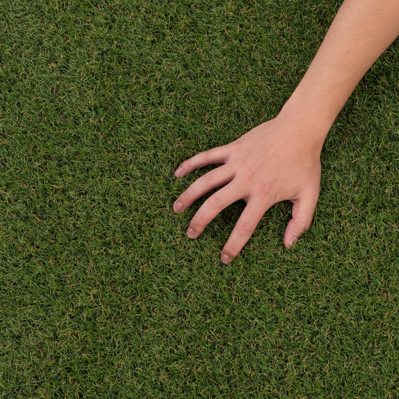 アイリスオーヤマ リアル人工芝を検証レビュー！人工芝の選び方も紹介