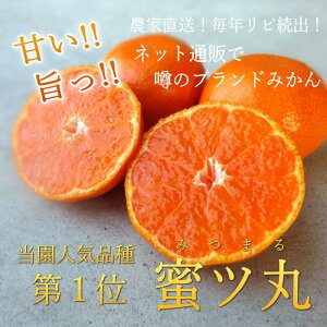 お蜜柑屋店長の厳選プレミアムギフト-極み-　三種詰め合わせ 2