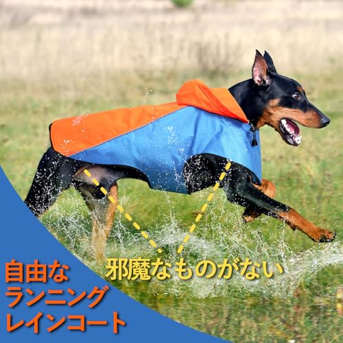 犬 レインコート 5