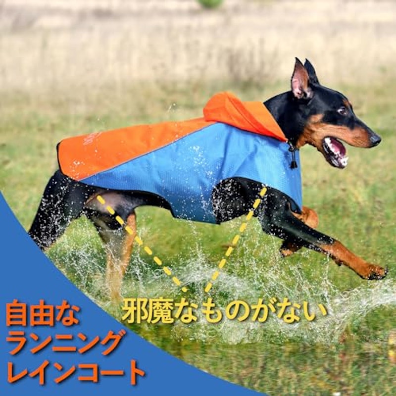 犬 レインコート 5