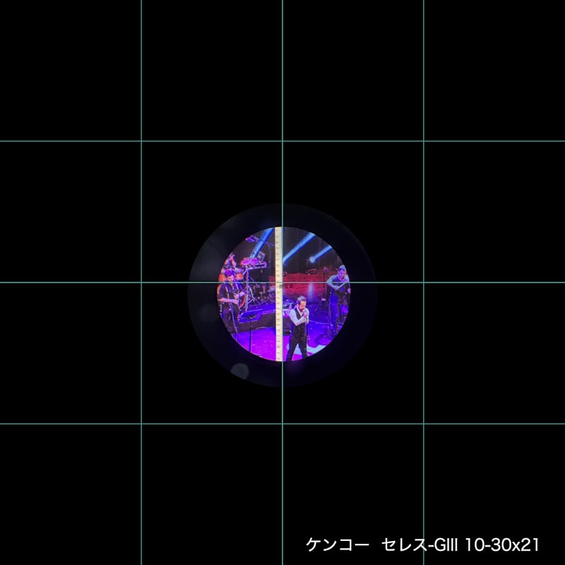 セレス-GⅢ 10-30×21 7