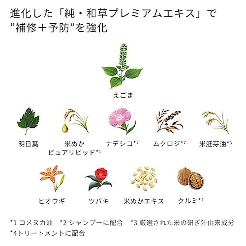 カラーケアベーストリートメントinシャンプー 5