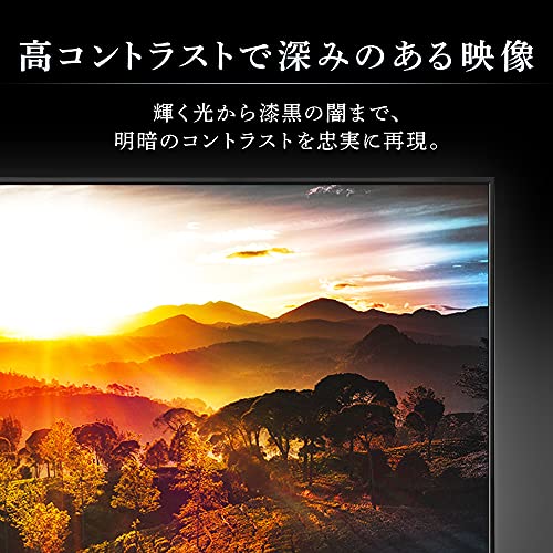 Fiona 4K対応液晶テレビ UB10P 4