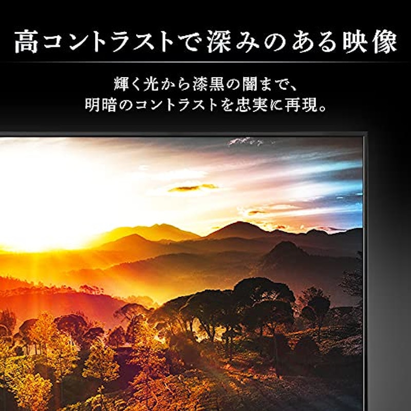 Fiona 4K対応液晶テレビ UB10P 4