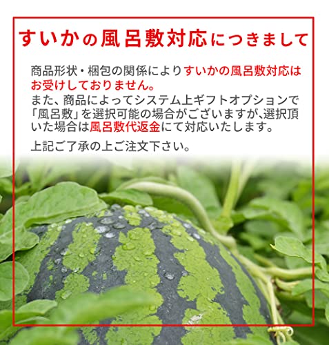 尾花沢すいか 6
