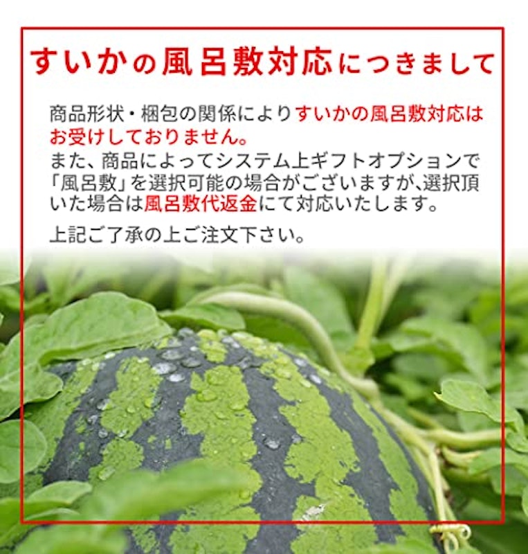 尾花沢すいか 6