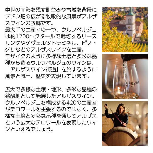 ウルフベルジュ シグネチャー シルヴァネール 2023 3