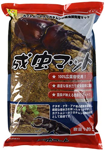 成虫マット 1