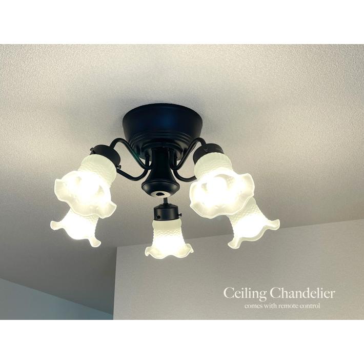 Ceiling Chandelier 1