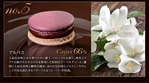至高のショコラマカロン詰め合わせ 5個入 7