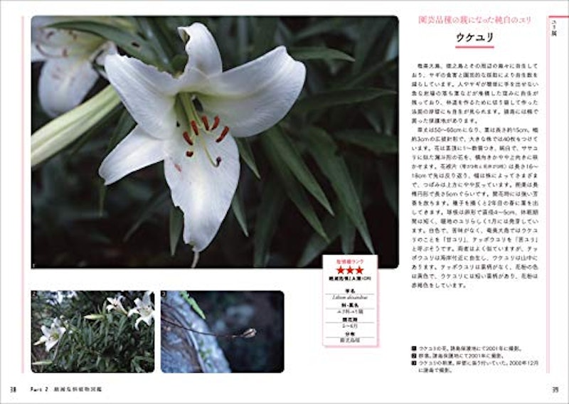 知っておきたい日本の絶滅危惧植物図鑑 4
