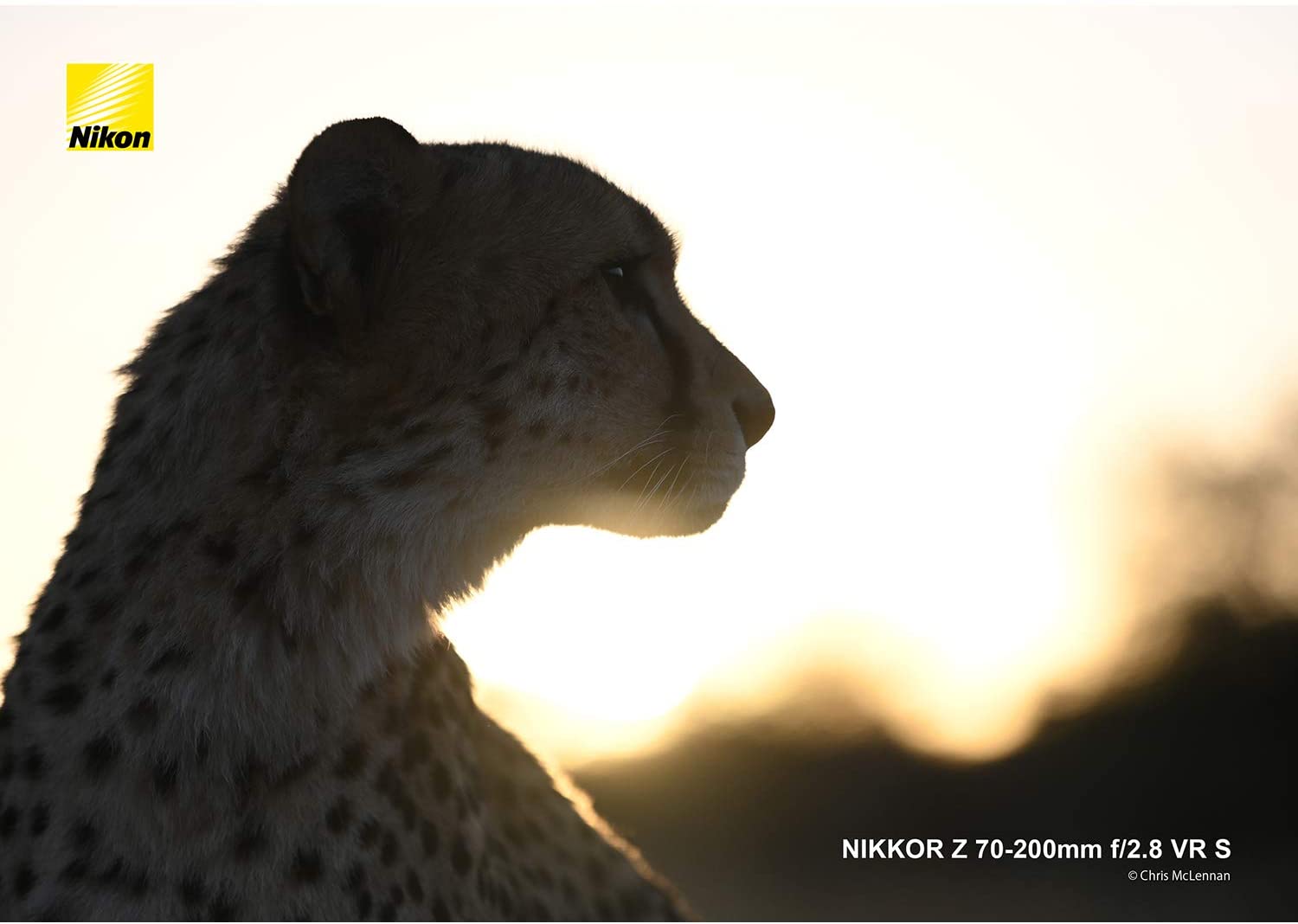 NIKKOR Z 70-200mm f/2.8 VR S 2