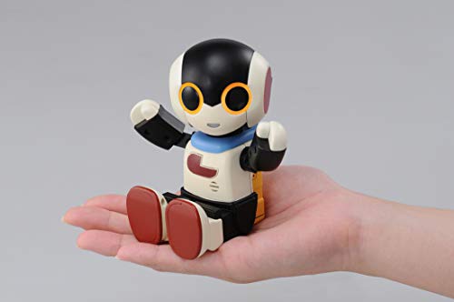 こっちむいて! Robi 2