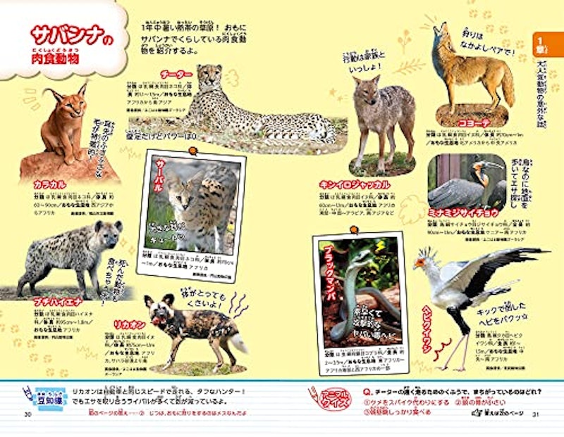 動物園へ行こう! 4