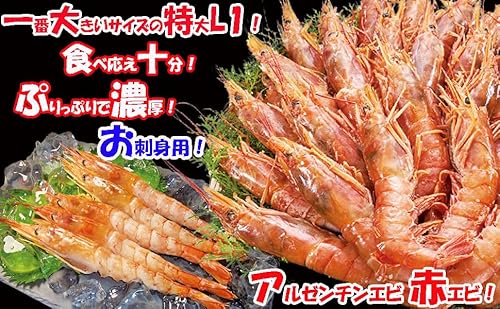 アルゼンチンエビ 7