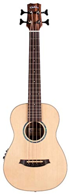 MINI II Bass 2