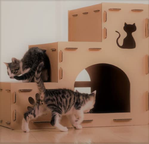 爪とぎ猫ハウス 5