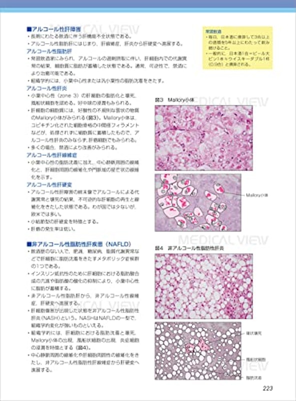 カラーイラストで学ぶ 集中講義 生化学 改訂2版 7