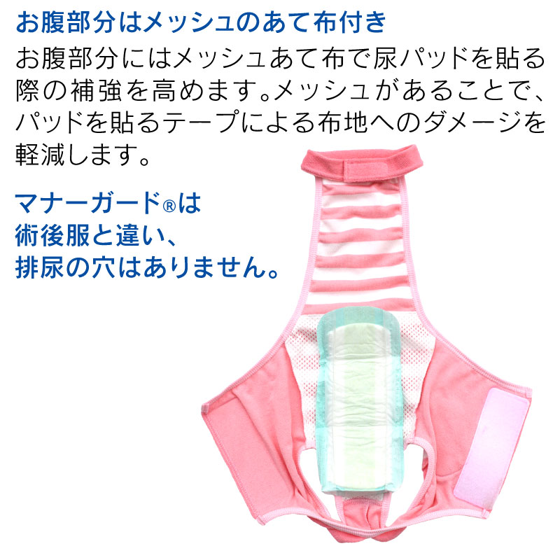 マナーパンツ 3