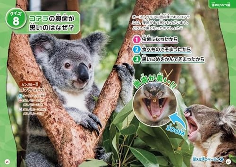 動物 超クイズ図鑑 2