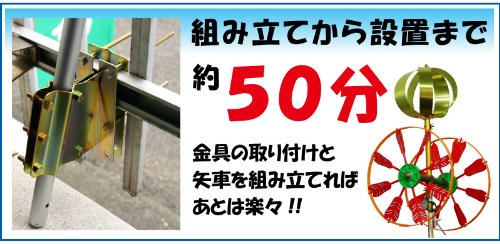 ディズニー こいのぼり 3
