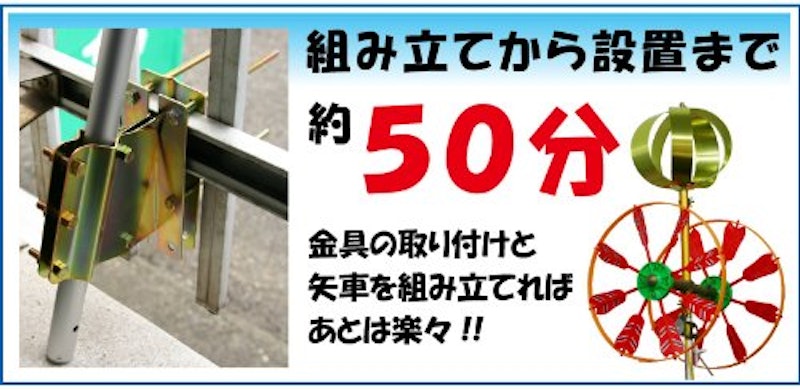 ディズニー こいのぼり 3