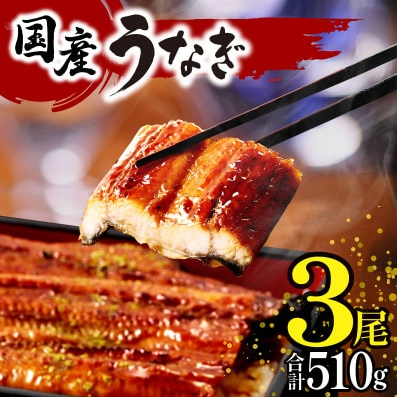 国産 うなぎ蒲焼 1