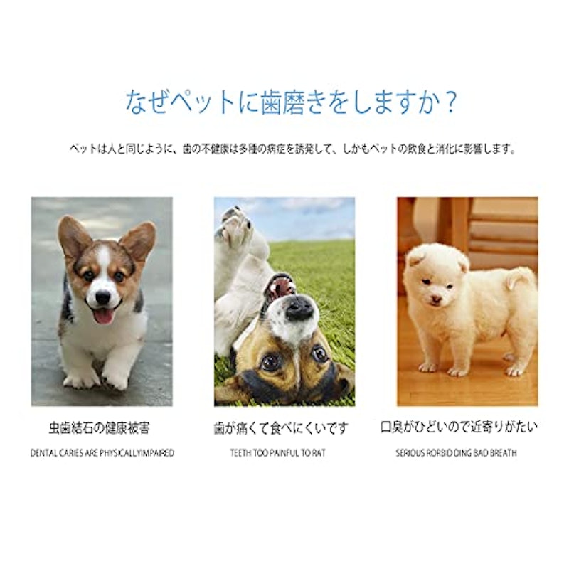 ベビーセット歯ブラシ 6