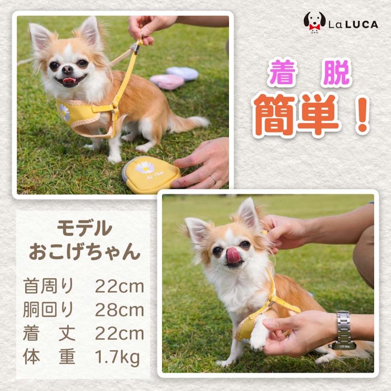 ハーネス 7