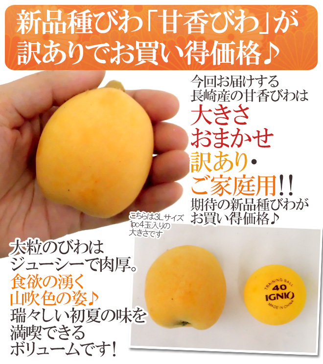 巨大びわ甘香 訳あり 6