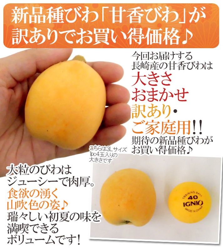 巨大びわ甘香 訳あり 6