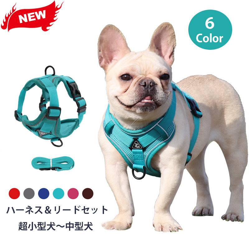 22年 小型犬用ハーネスのおすすめ人気ランキング28選 Mybest