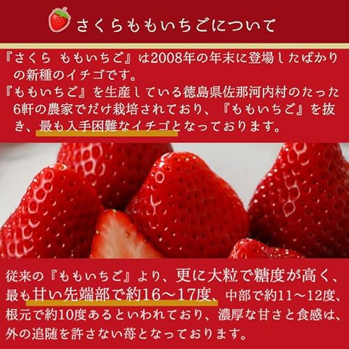 さくらももいちご 7